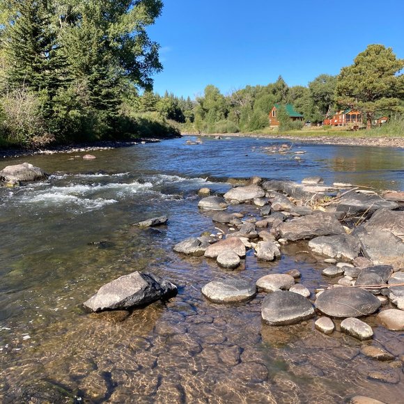 Meet your Posher, Anna - Picture 3 of 4